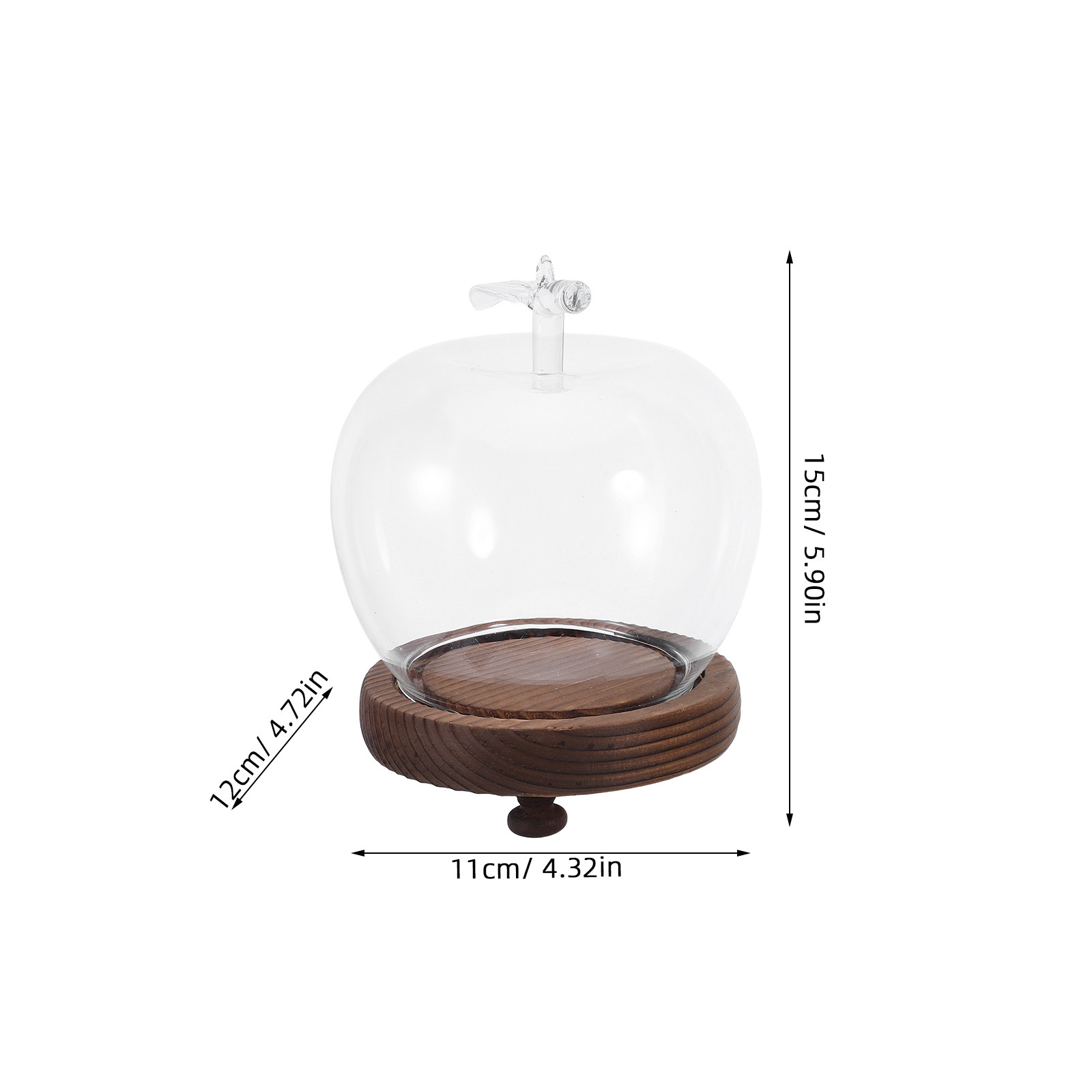 Glass Dome Cloche Clear Displa - Plastic Dome Clear 리뷰 및 가격