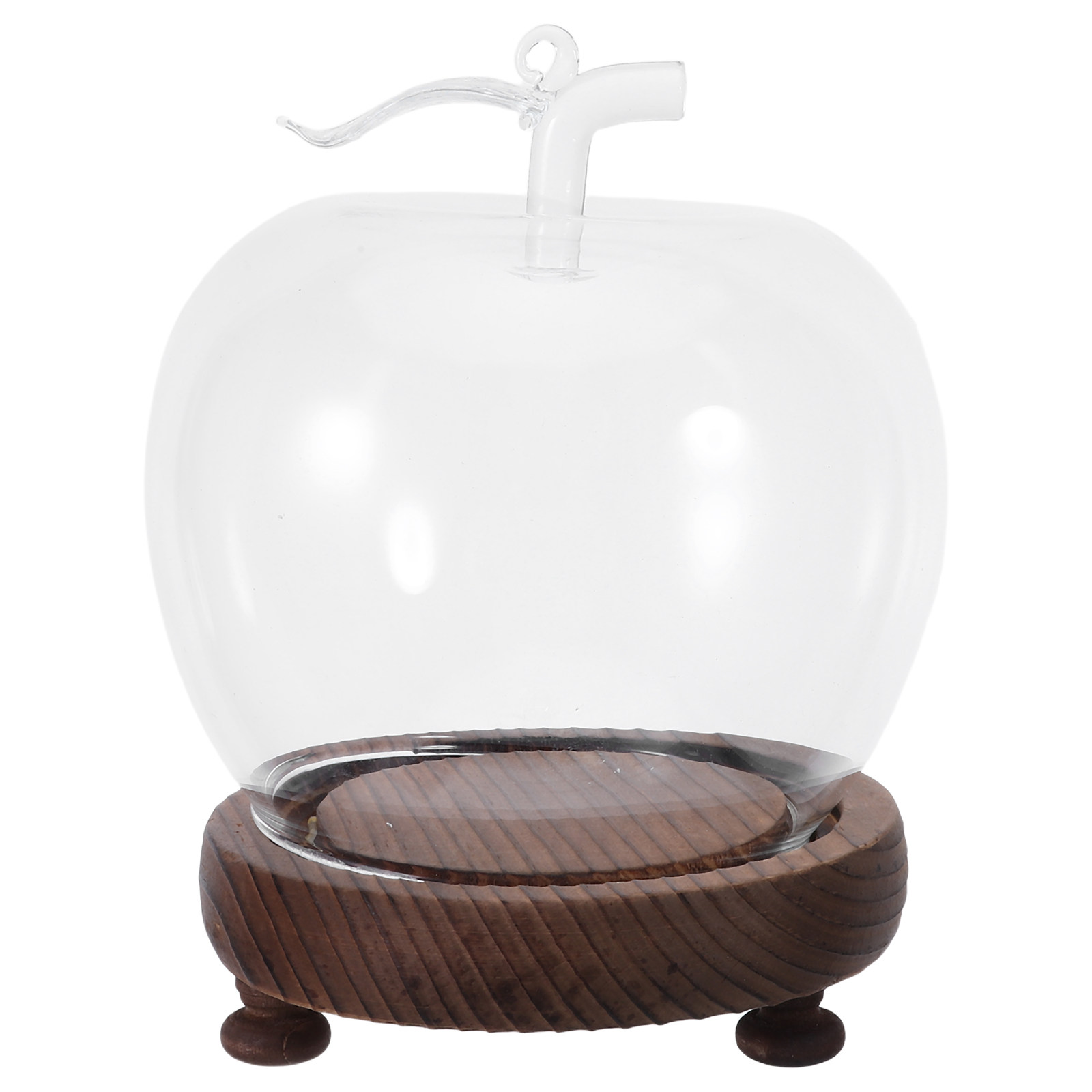 Glass Dome Cloche Clear Displa - Plastic Dome Clear 리뷰 및 가격