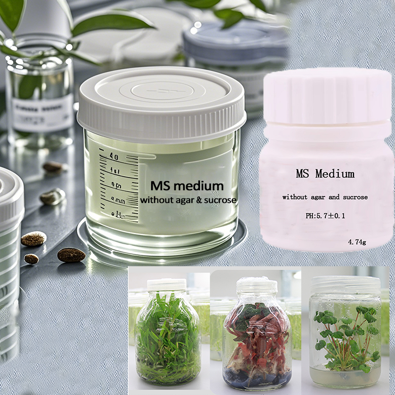 MS medium Without Agar Or Sucr - Agar Tissue Culture 리뷰 및 가격