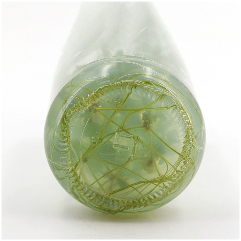MS medium Without Agar Or Sucr - Agar Tissue Culture 리뷰 및 가격