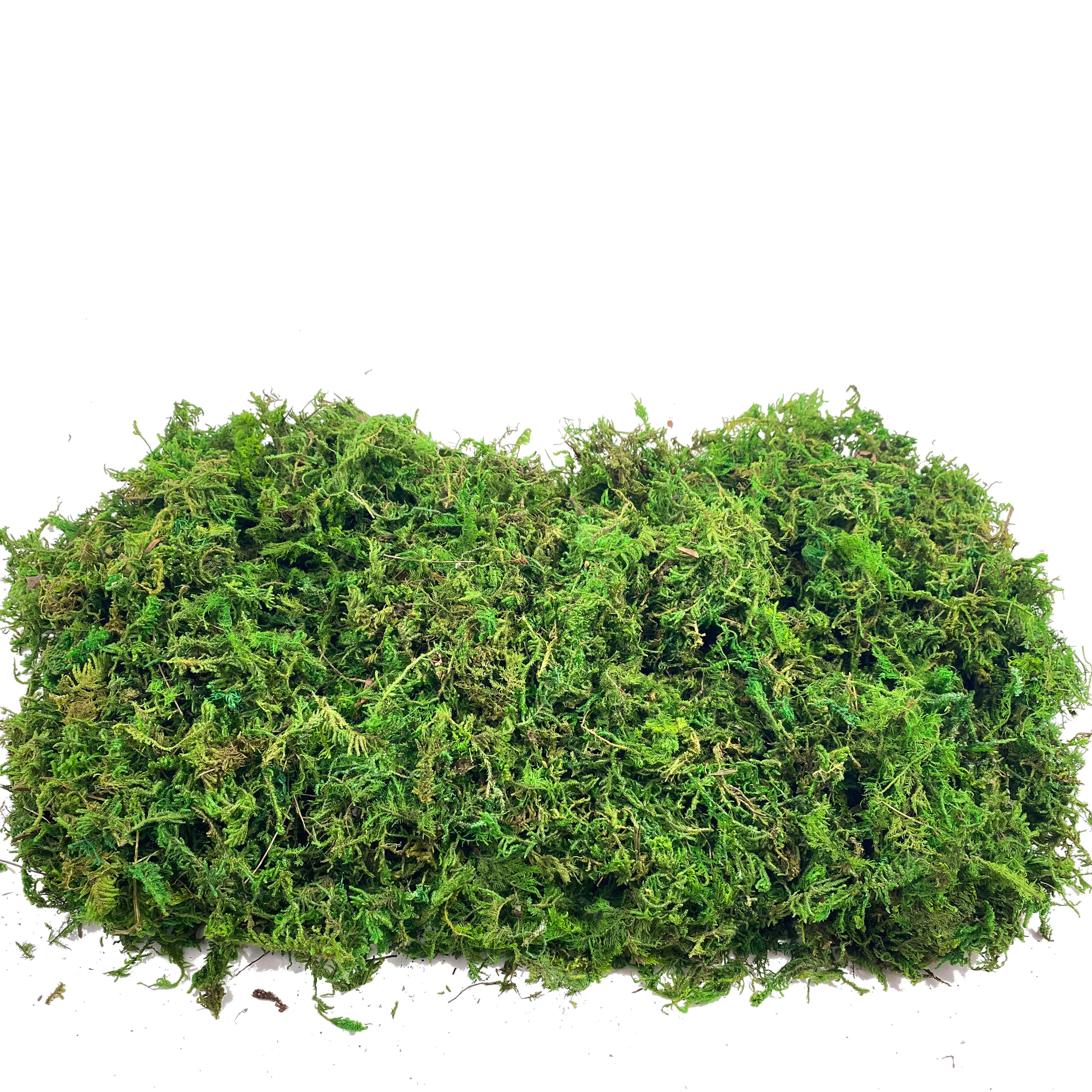 Fake Moss Artificial Moss for  - Sphagnum Moss Dry 리뷰 및 가격