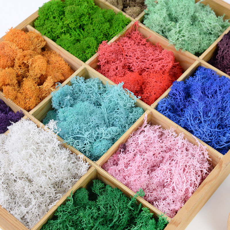 20/40g Artificial Green Plants - Sphagnum Moss Dry 리뷰 및 가격