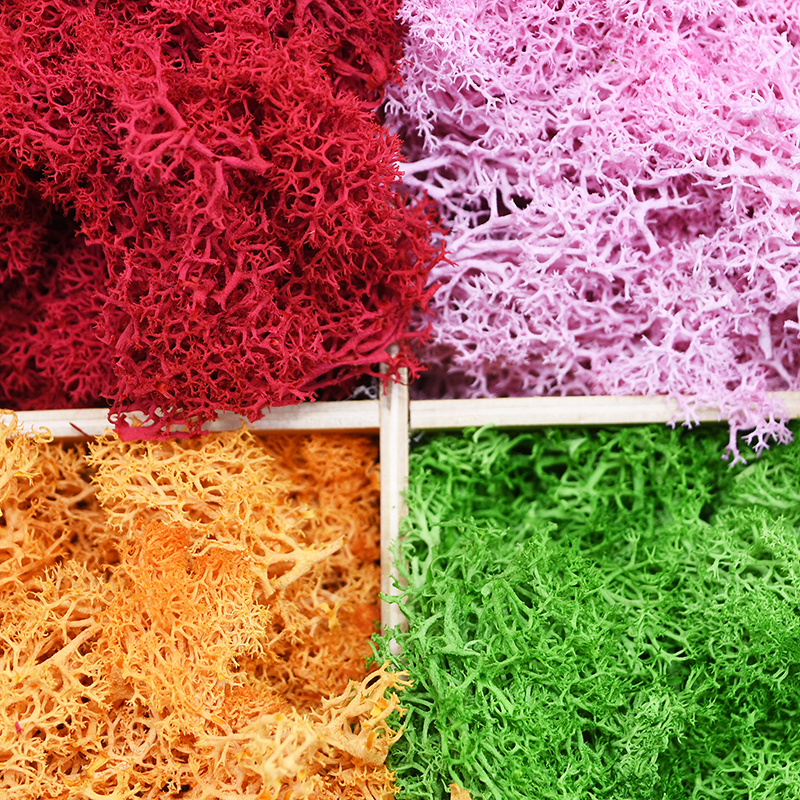 20/40g Artificial Green Plants - Sphagnum Moss Dry 리뷰 및 가격