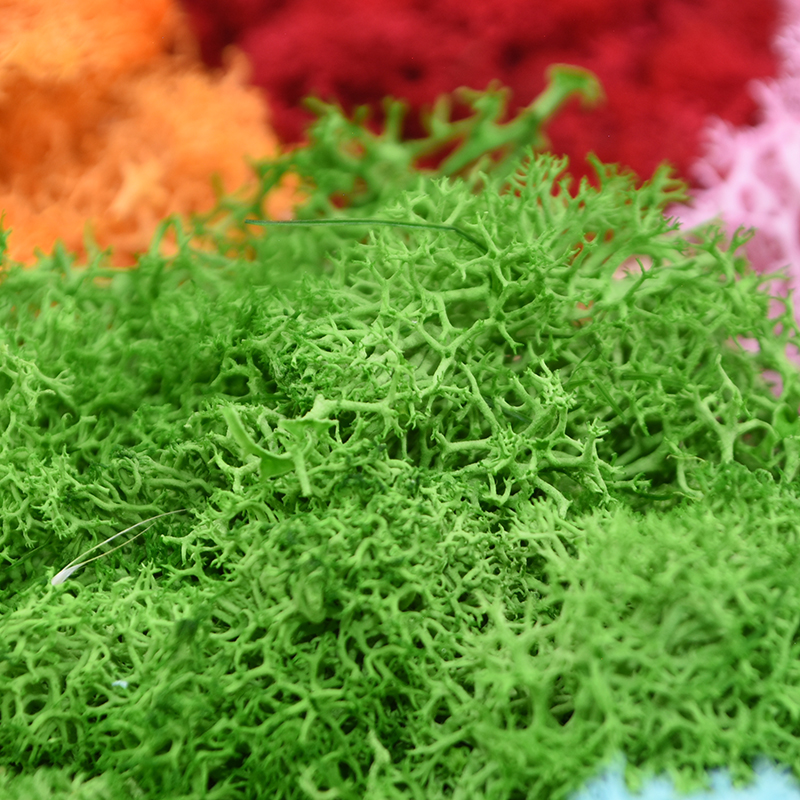 20/40g Artificial Green Plants - Sphagnum Moss Dry 리뷰 및 가격