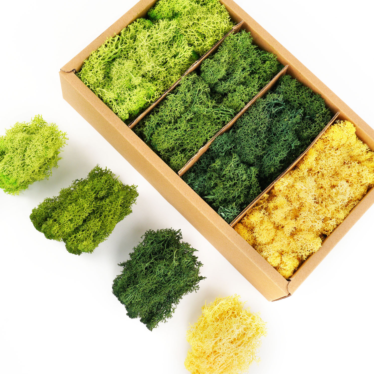 Artificial Green Plants Eterna - Sphagnum Moss Dry 리뷰 및 가격