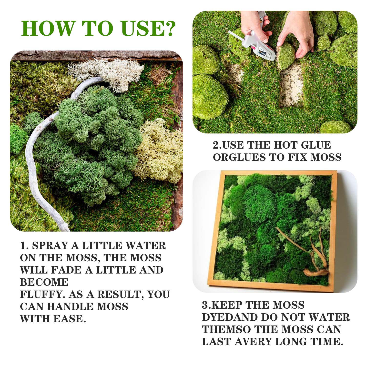 Artificial Green Plants Eterna - Sphagnum Moss Dry 리뷰 및 가격