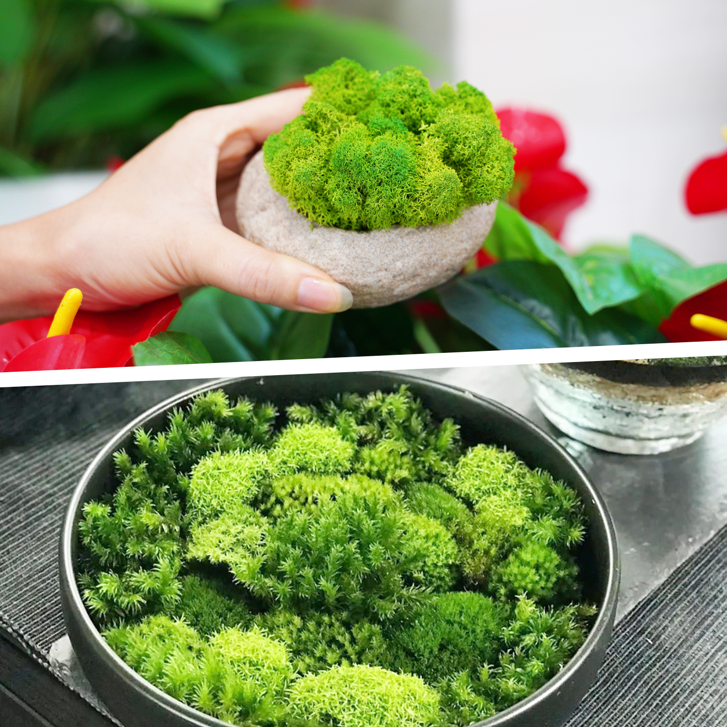 Artificial Green Plants Eterna - Sphagnum Moss Dry 리뷰 및 가격