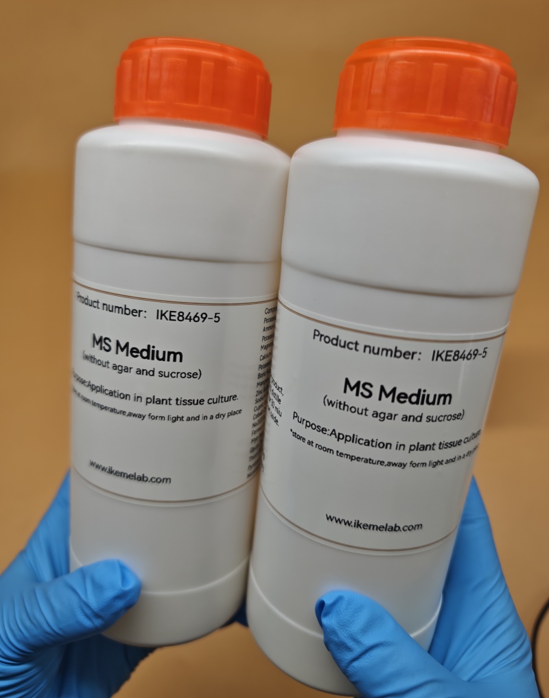 IKEME 250g Lab MS Medium Witho - Agar Tissue Culture 리뷰 및 가격