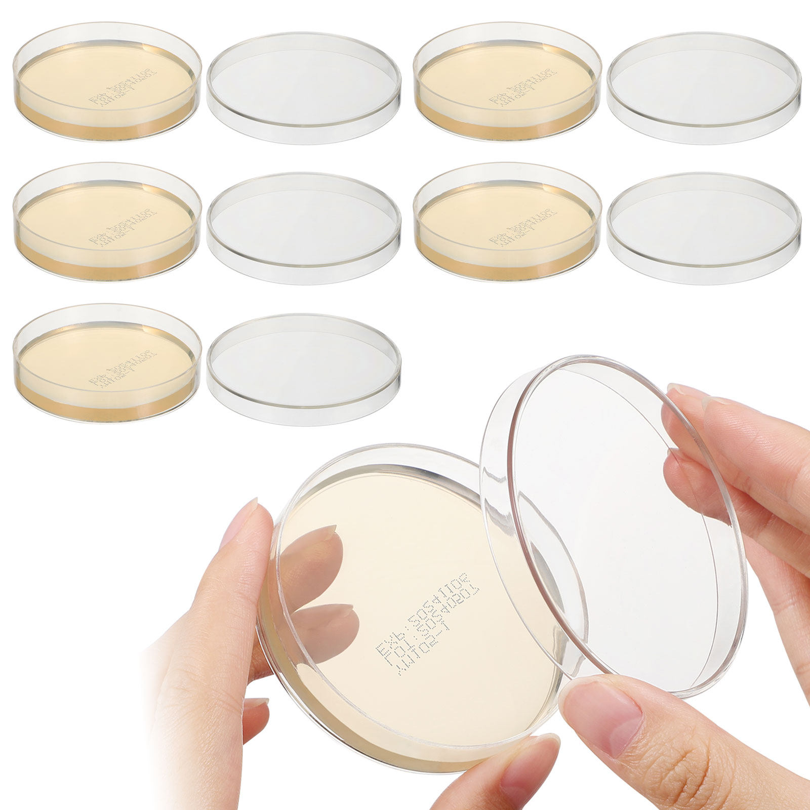 Agar Plates 10pcs Ready to Use - Agar Tissue Culture 리뷰 및 가격