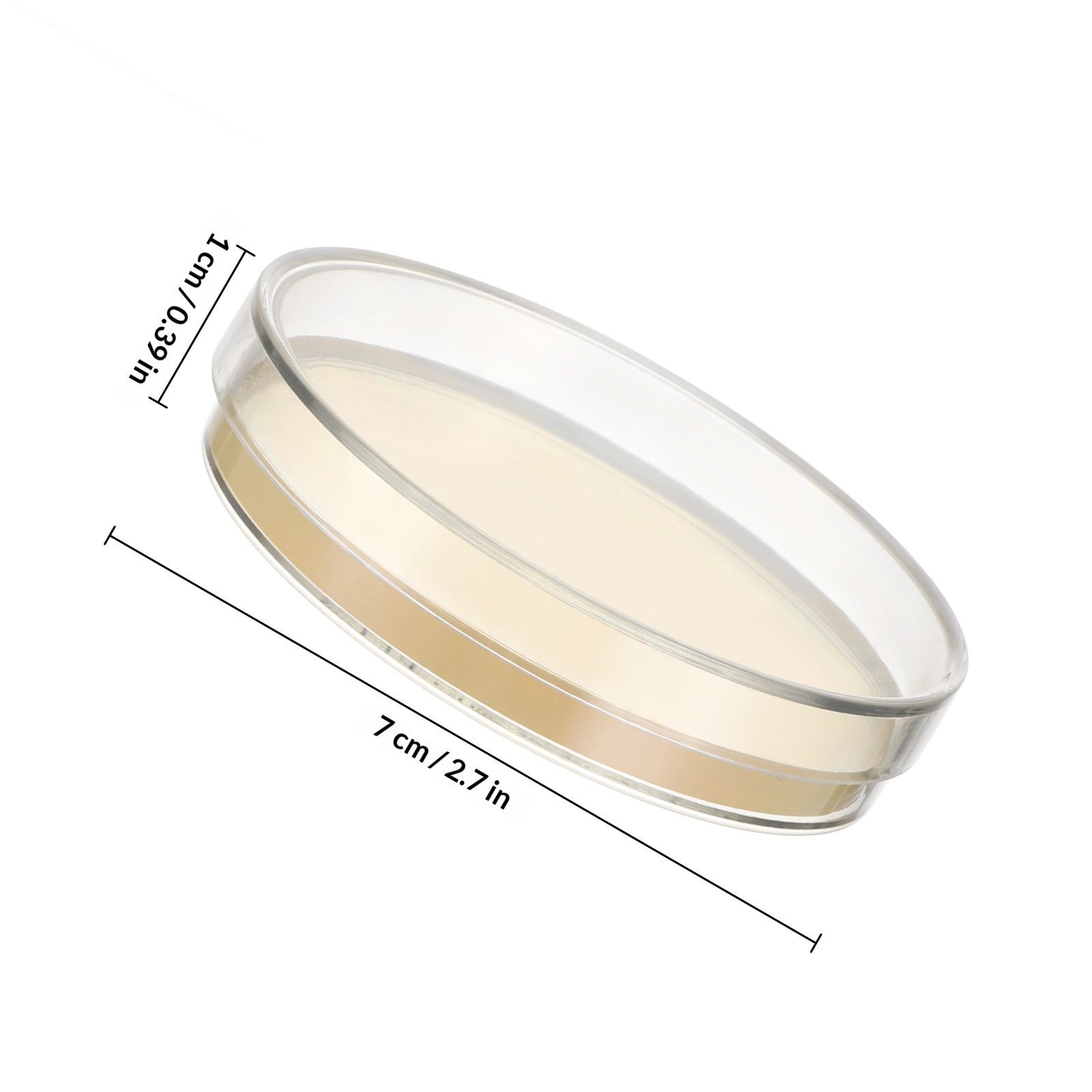 Agar Plates 10pcs Ready to Use - Agar Tissue Culture 리뷰 및 가격