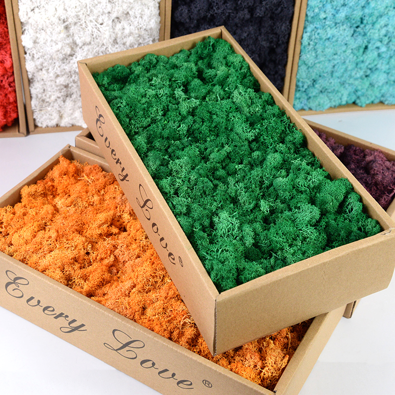 40/20g Artificial Immortal Mos - Sphagnum Moss Dry 리뷰 및 가격