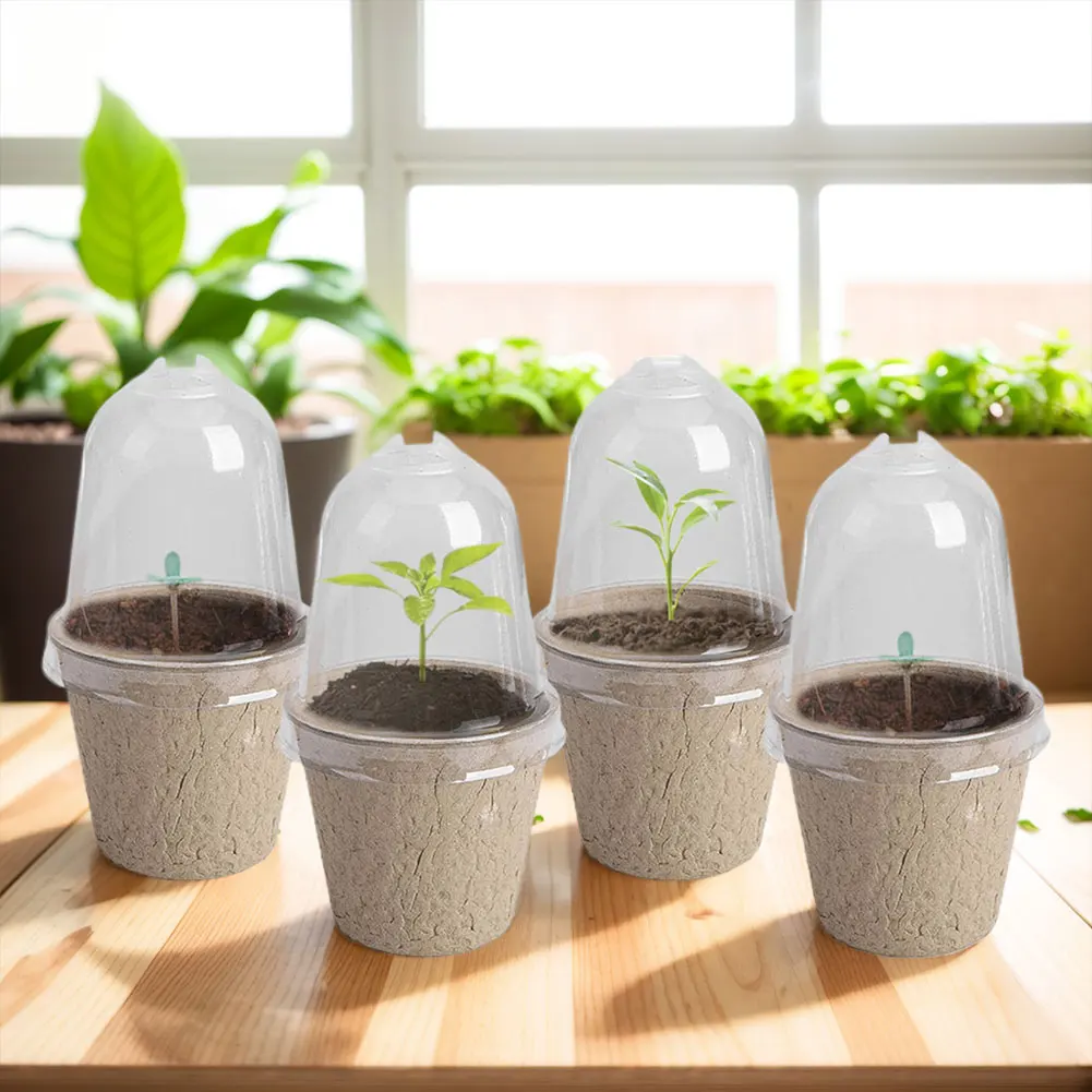 10pcs Garden Round Peat Pots P - Peat Pellet Tray 리뷰 및 가격