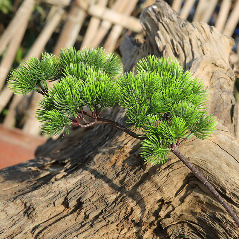 42cm Artificial Plant Pine Bra - Sphagnum Moss Dry 리뷰 및 가격