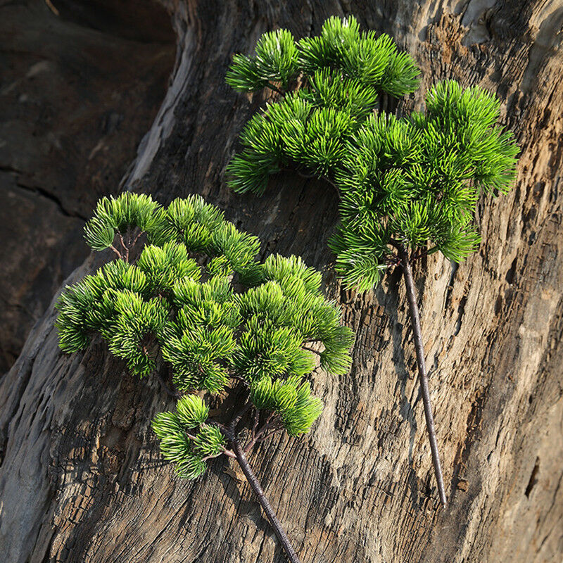 42cm Artificial Plant Pine Bra - Sphagnum Moss Dry 리뷰 및 가격