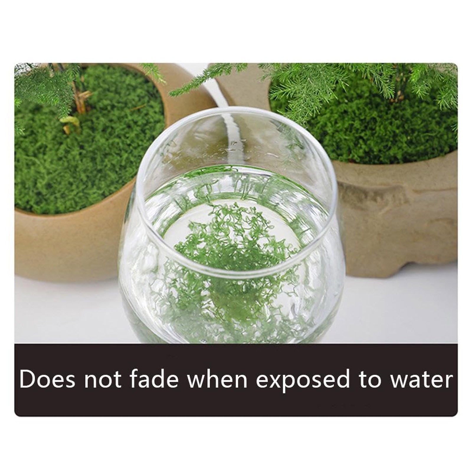 50/200g Artificial Moss For De - Sphagnum Moss Dry 리뷰 및 가격