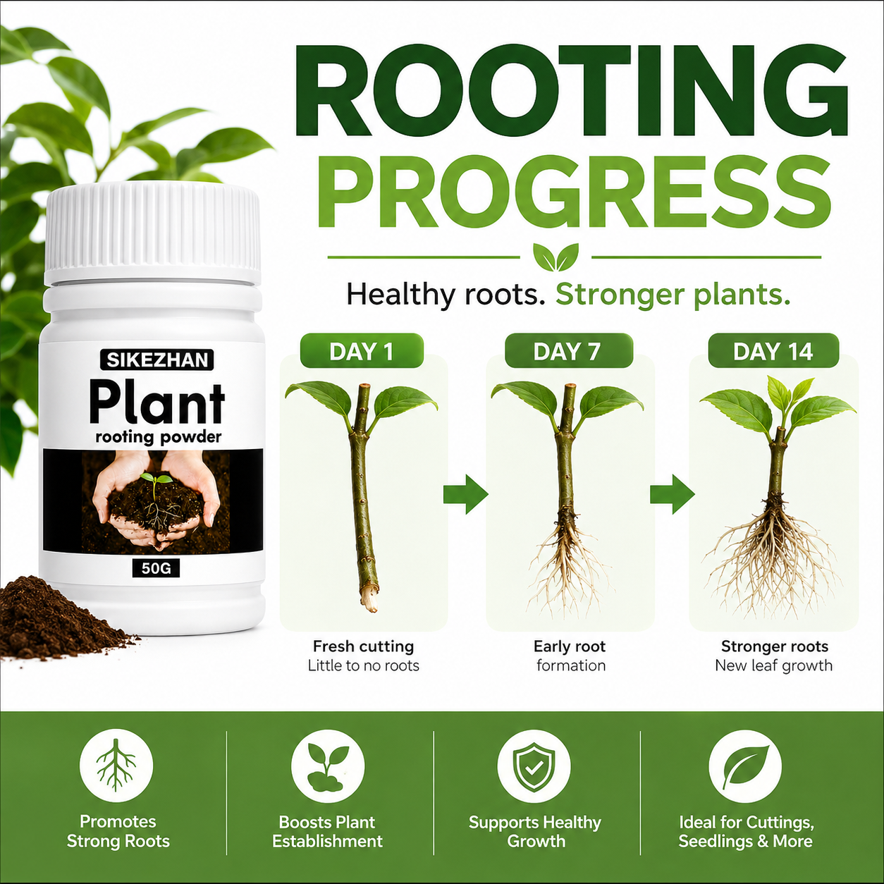 50g Rapid Rooting Powder Plant - Rooting Hormone Powder 리뷰 및 가격