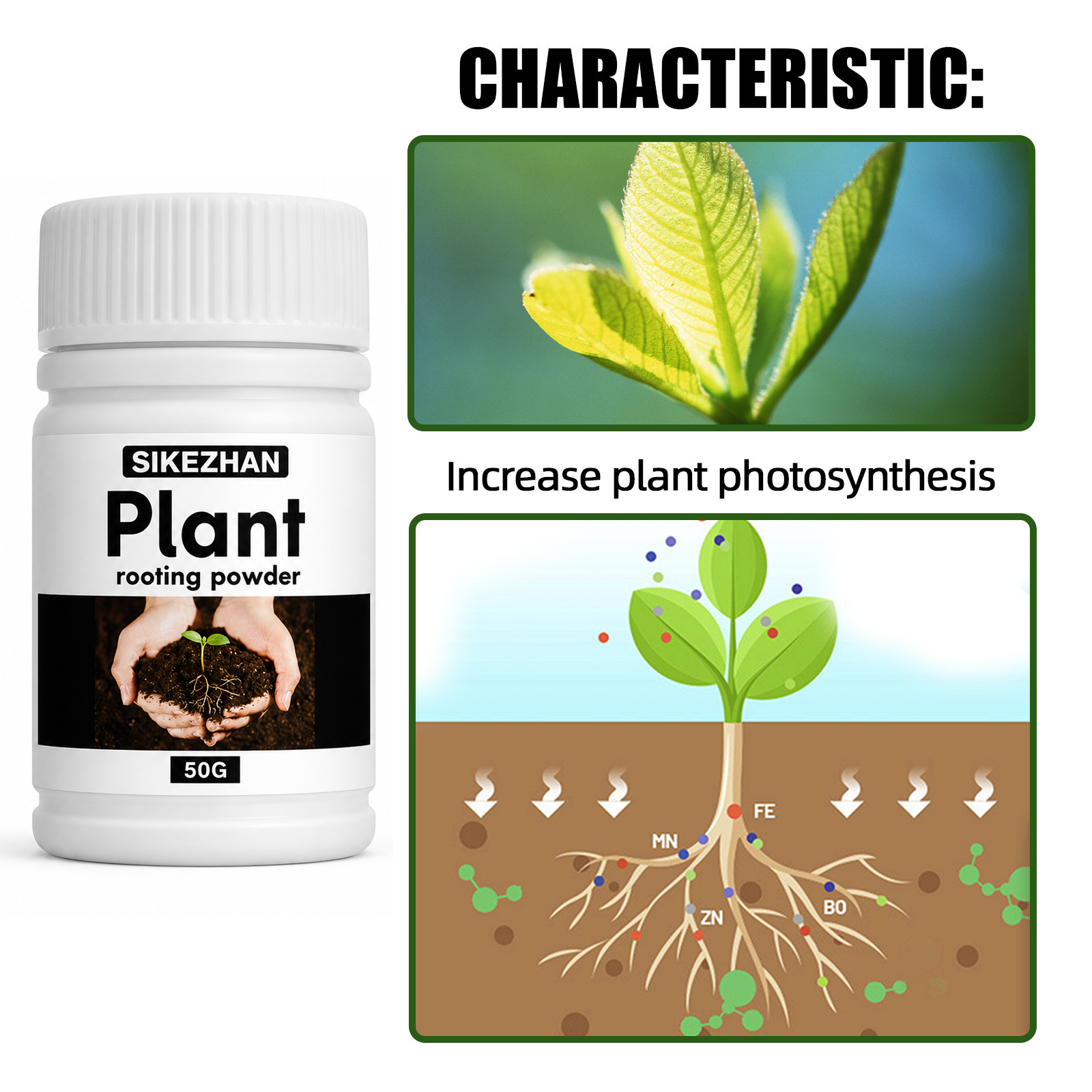 50g Rapid Rooting Powder Plant - Rooting Hormone Powder 리뷰 및 가격