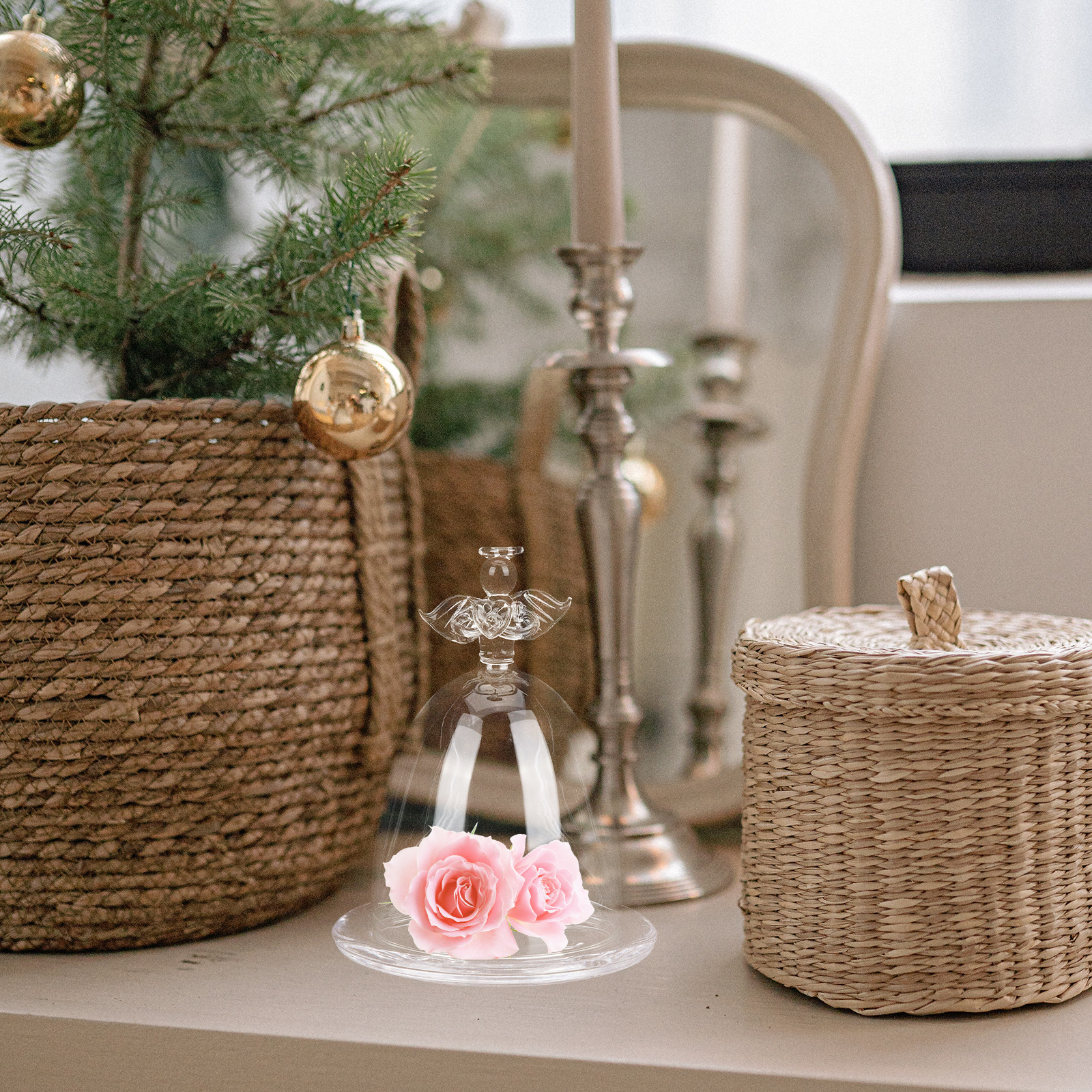 Angel Clear Display Dome for P - Plastic Dome Clear 리뷰 및 가격
