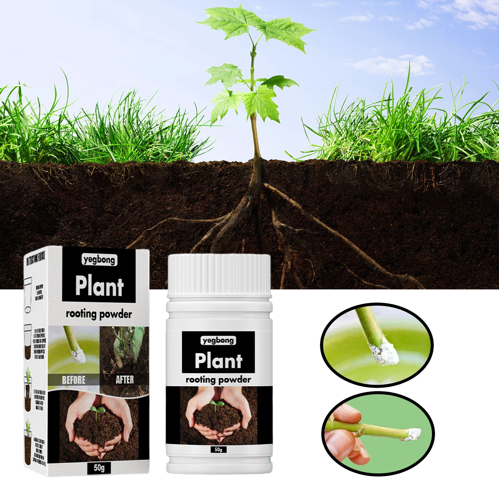 1Rare Plant Rooting Powder Pla - Rooting Hormone Powder 리뷰 및 가격