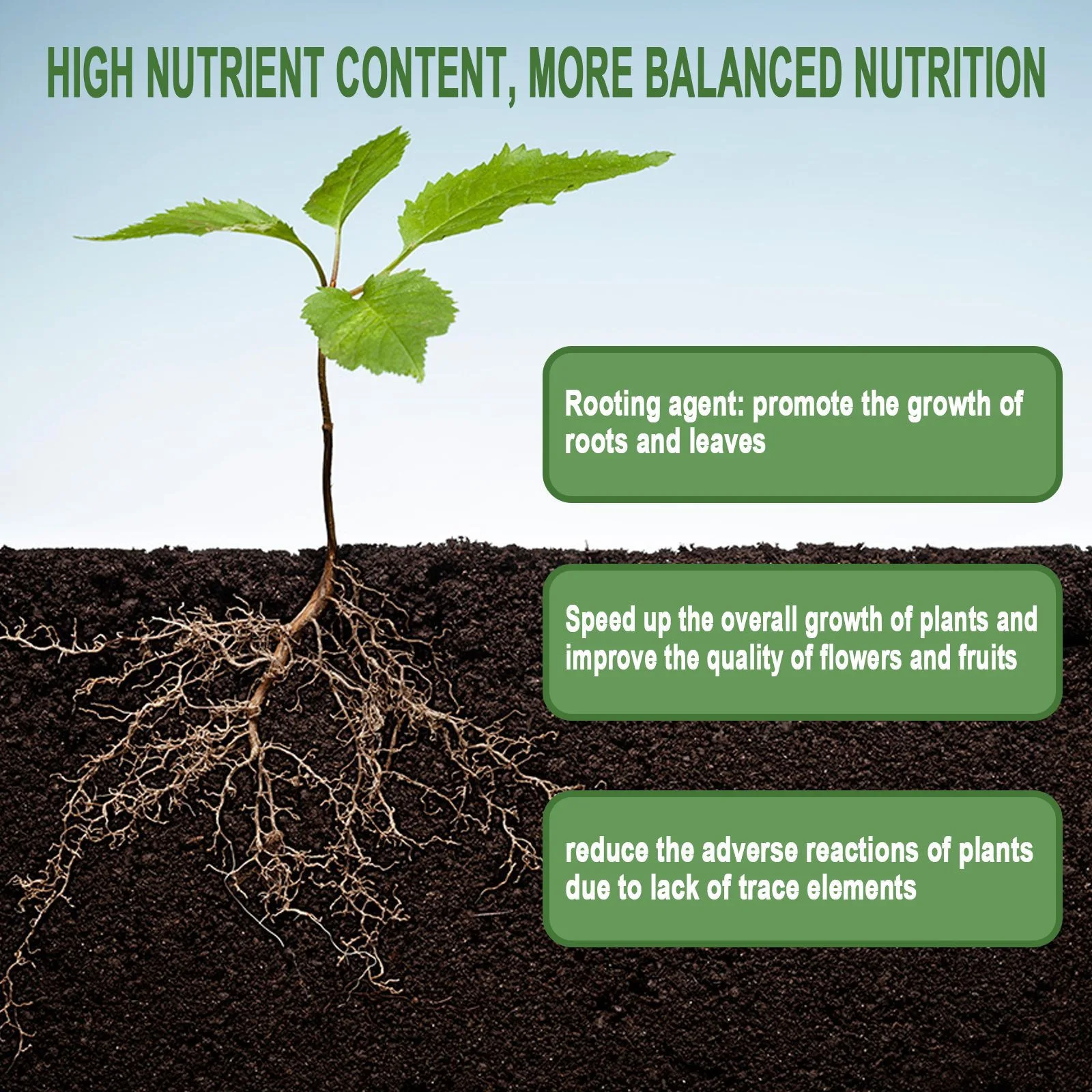 1Rare Plant Rooting Powder Pla - Rooting Hormone Powder 리뷰 및 가격