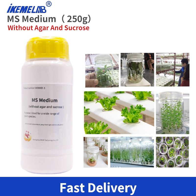 IKEME Lab MS Medium 250g Witho - Agar Tissue Culture 리뷰 및 가격