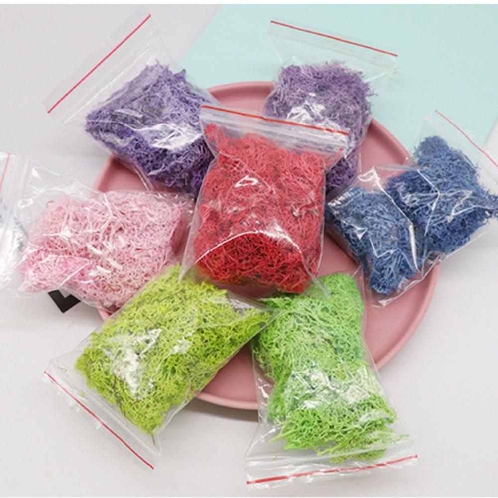 Wedding Accessories Wedding Fl - Sphagnum Moss Dry 리뷰 및 가격