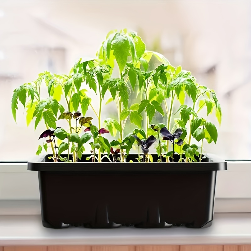 Seedling Starter Kit 1/2/3 Set - Humidity Dome Kit 리뷰 및 가격
