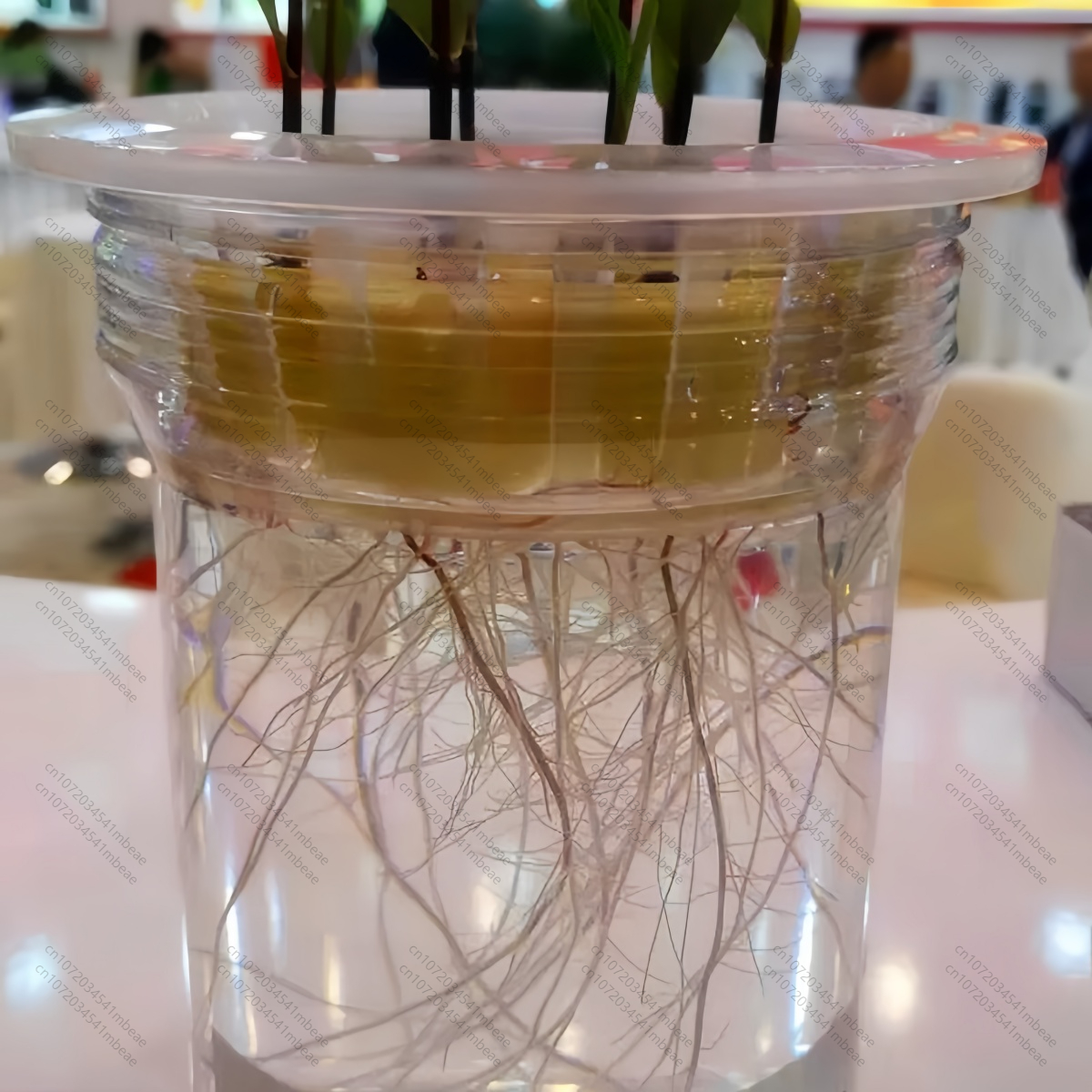 NAA 98% TC 1-Naphthaleneacetic - Rooting Hormone Powder 리뷰 및 가격