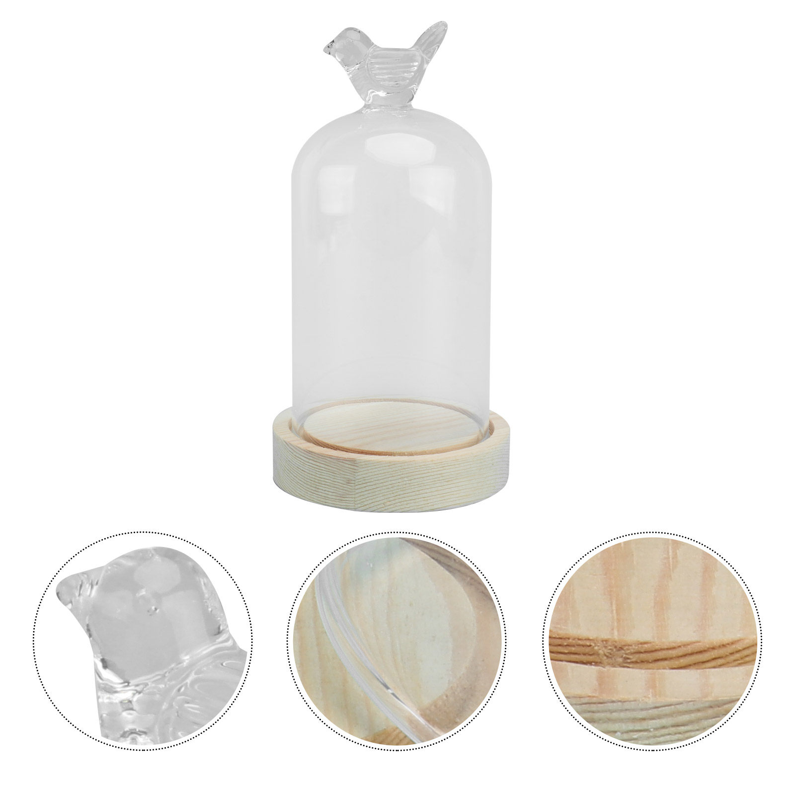 1Pcs Mini Glass Dome Cover Bir - Plastic Dome Clear 리뷰 및 가격