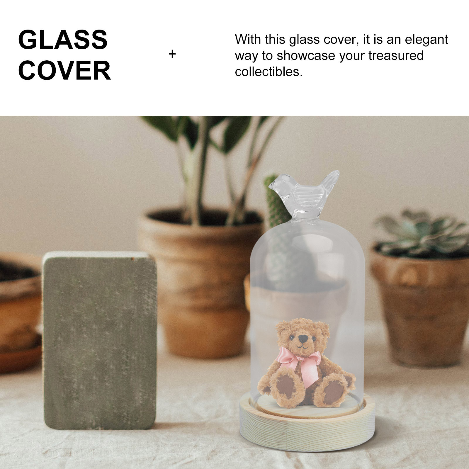 1Pcs Mini Glass Dome Cover Bir - Plastic Dome Clear 리뷰 및 가격