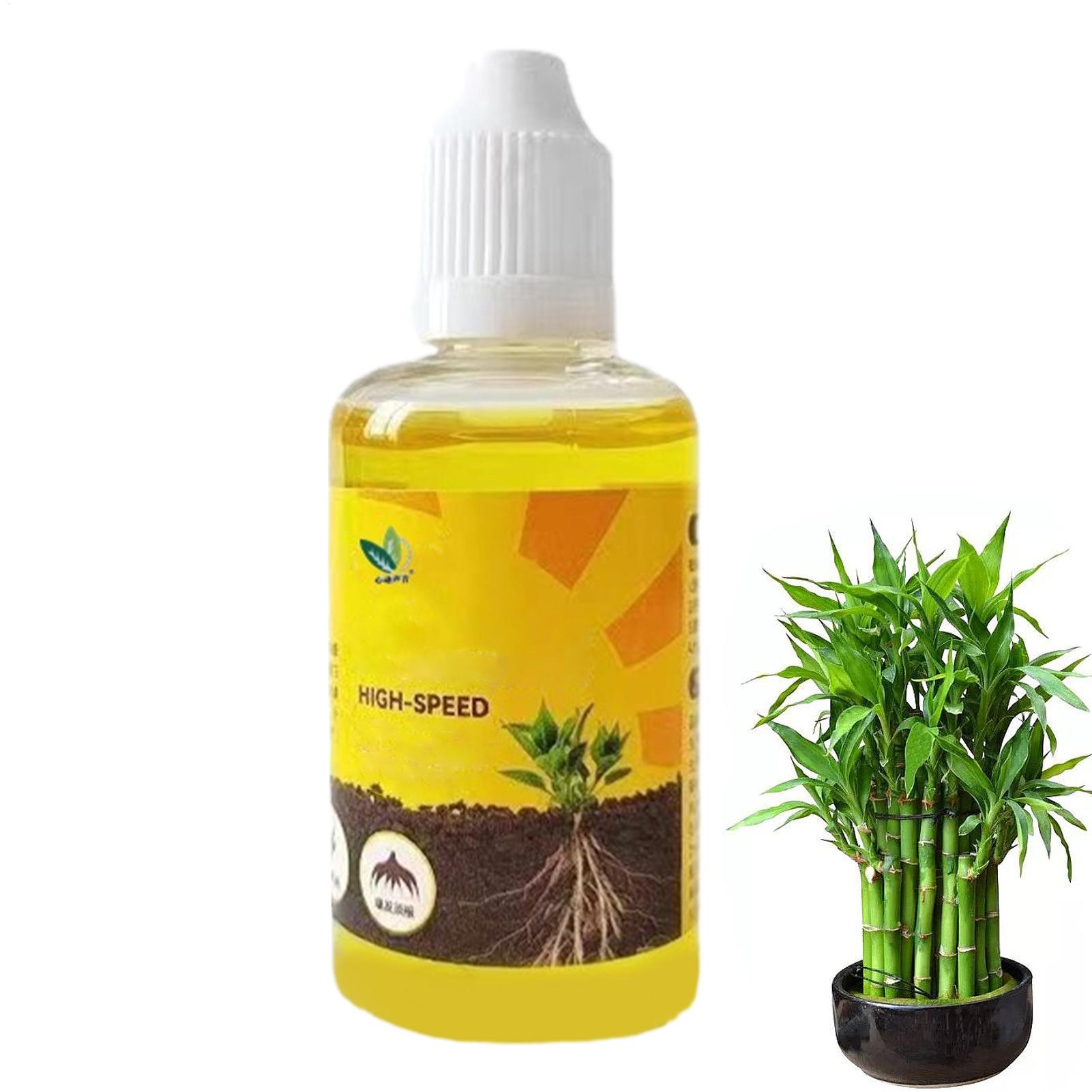 50ml Plant Rooting Stimulator  - Root Stimulator Liquid 리뷰 및 가격