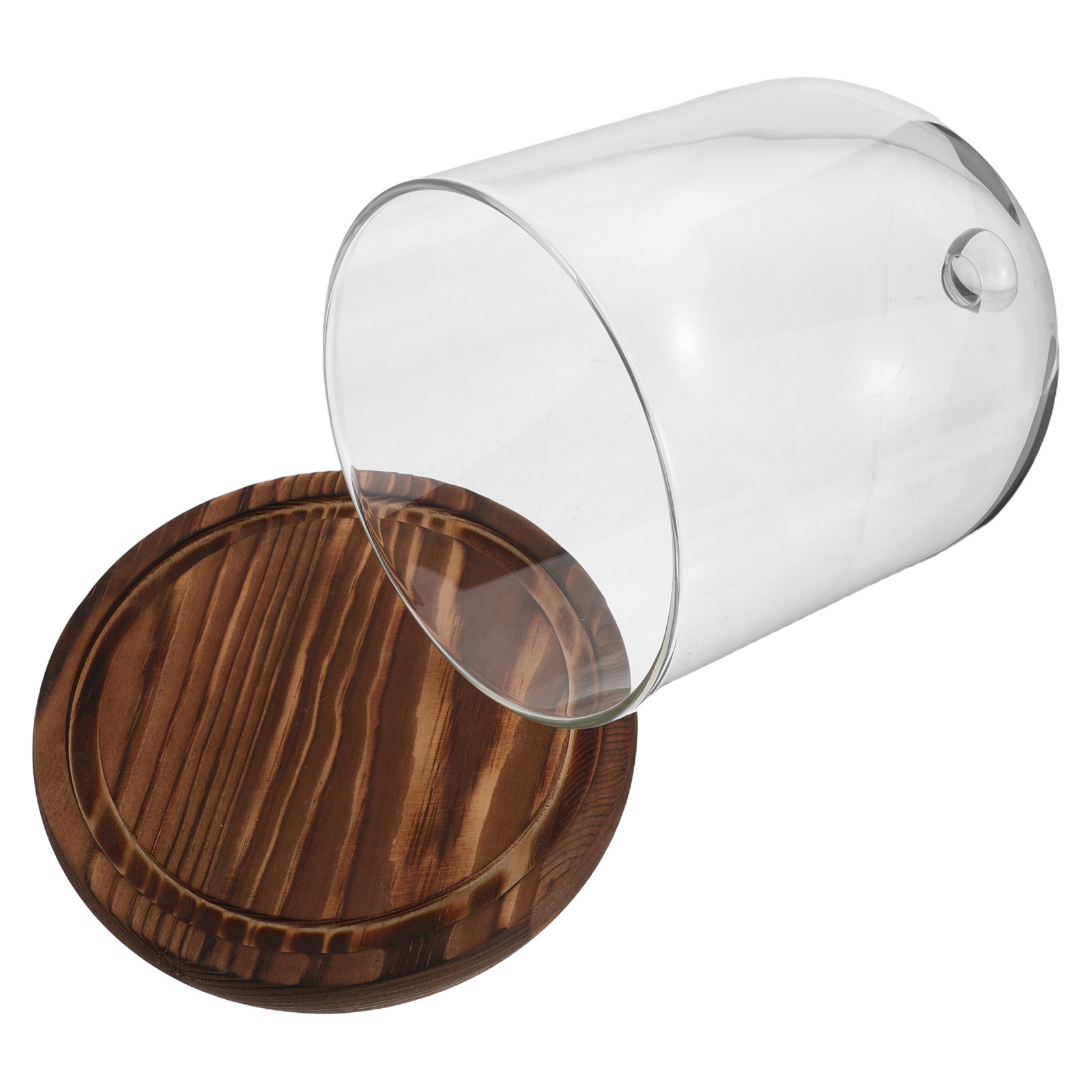 Clear Glass Bell Jar Dome for  - Plastic Dome Clear 리뷰 및 가격