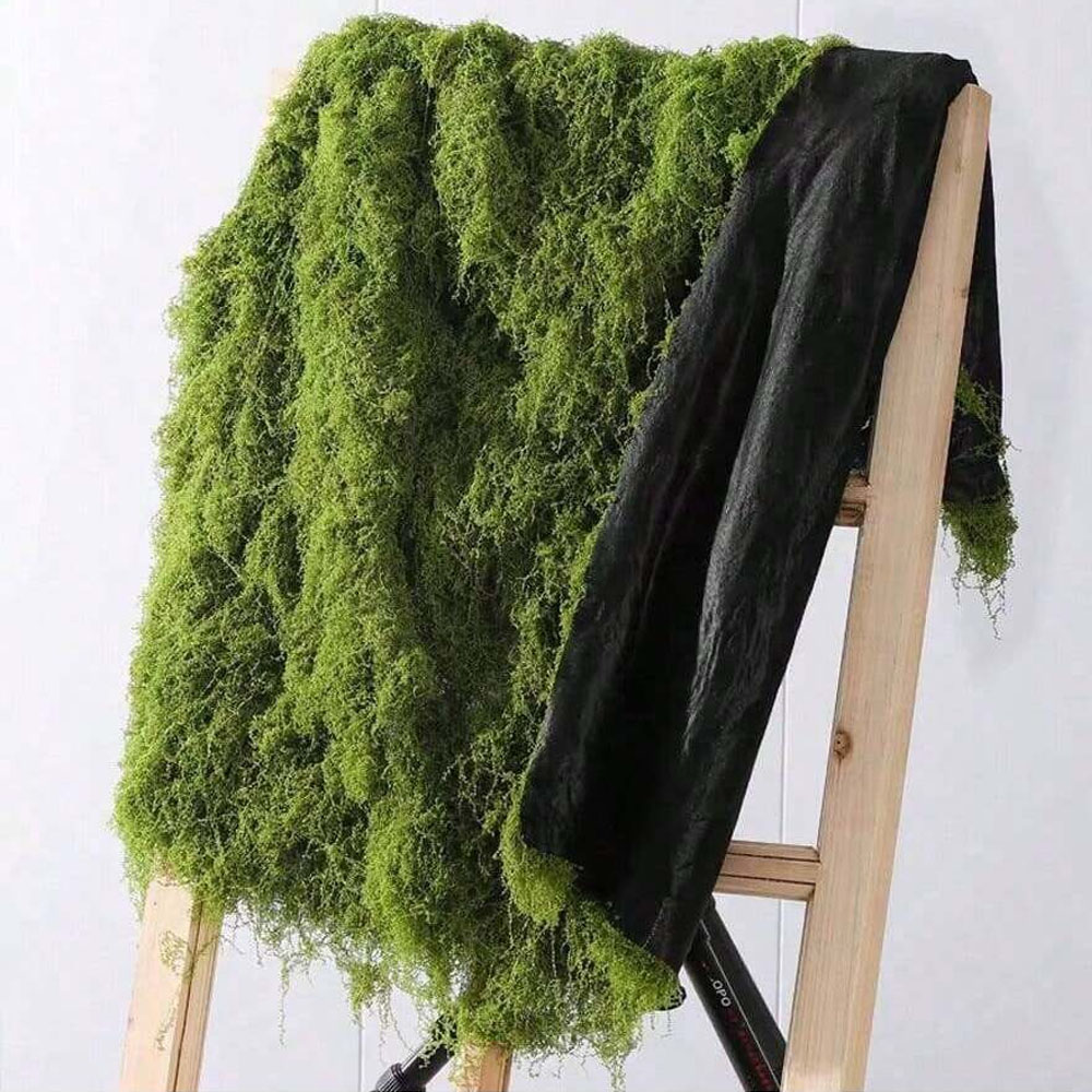 1*1m Fake Moss DIY Crafts Gras - Sphagnum Moss Dry 리뷰 및 가격