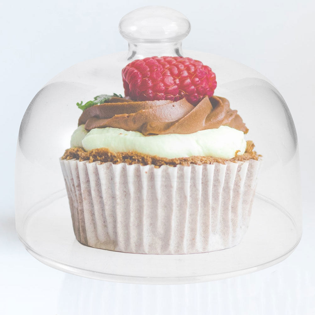 2Pcs Transparent Glass Cake Do - Plastic Dome Clear 리뷰 및 가격