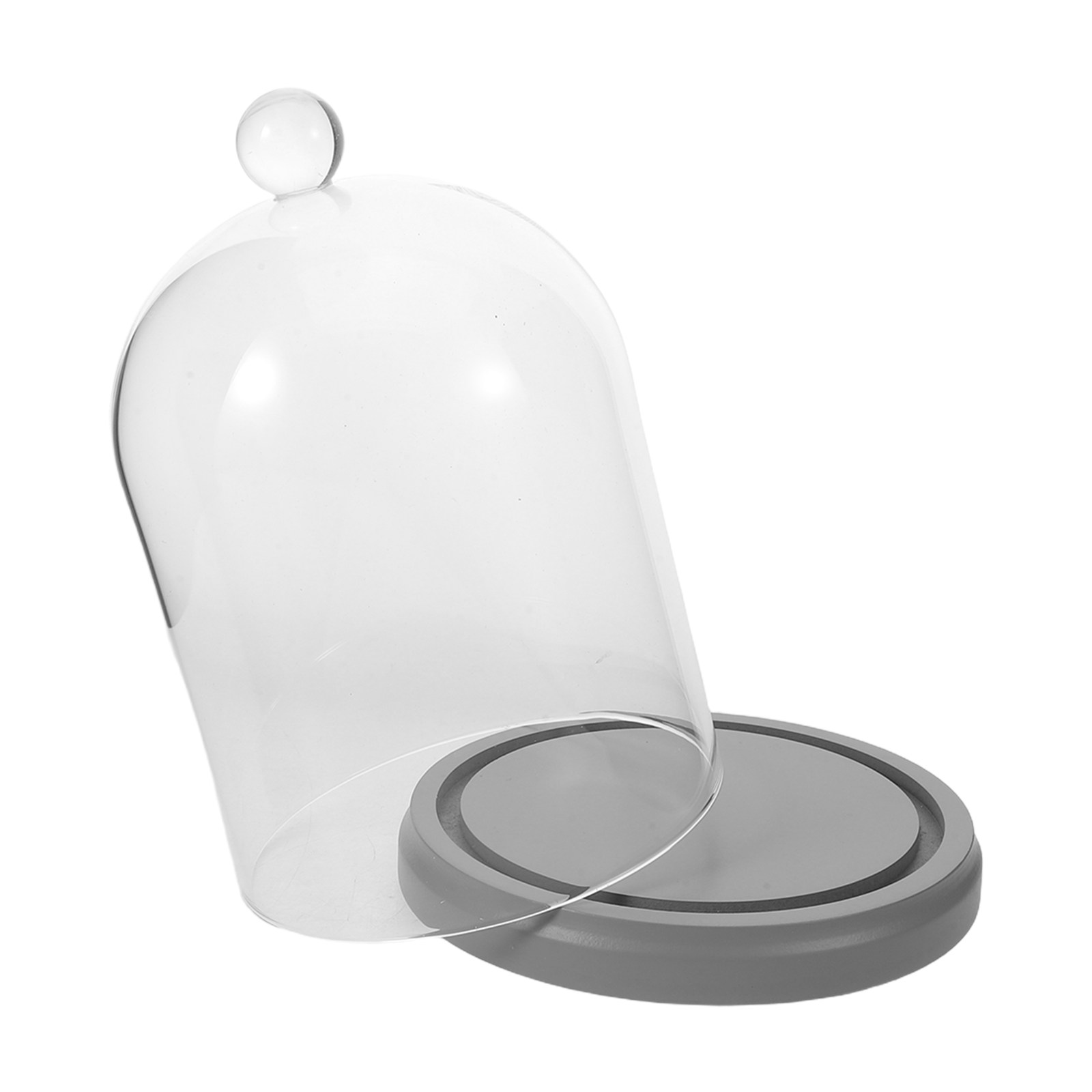 Glass Cloche Dome Transparent  - Plastic Dome Clear 리뷰 및 가격