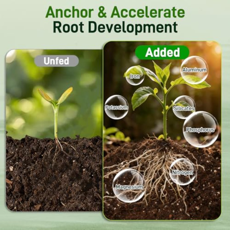 2 Mix for Indoor Plants - Cont - Coco Perlite Mix 리뷰 및 가격
