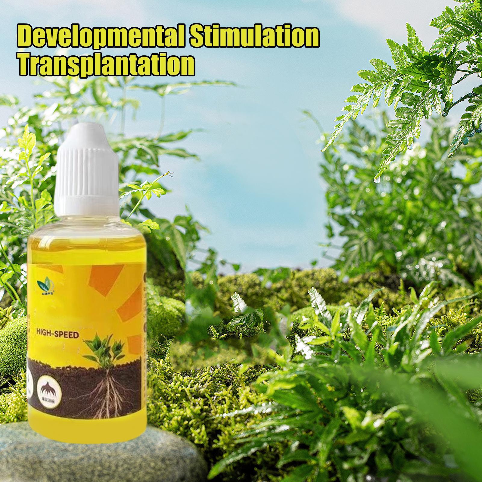 Plant Resurrection Liquid 50ml - Root Stimulator Liquid 리뷰 및 가격