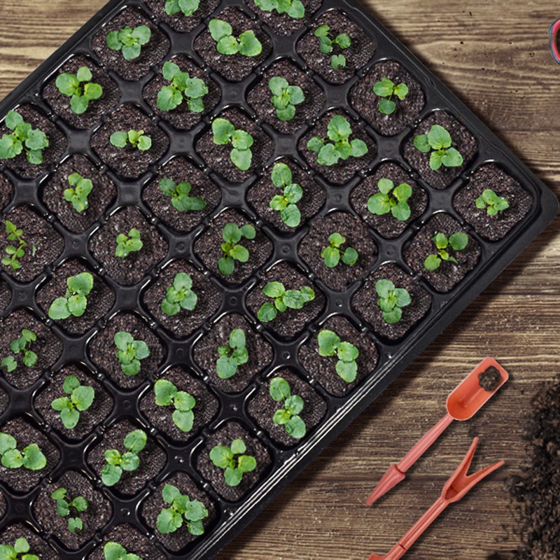 ABGH-10 Pack Seed Starter Tray - Propagation Tray 72 리뷰 및 가격