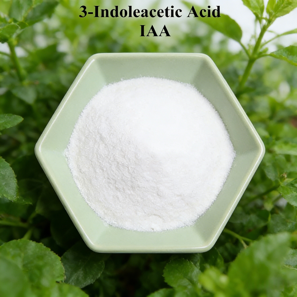 3-indoleacetic Acid IAA Auxina - Rooting Hormone Powder 리뷰 및 가격