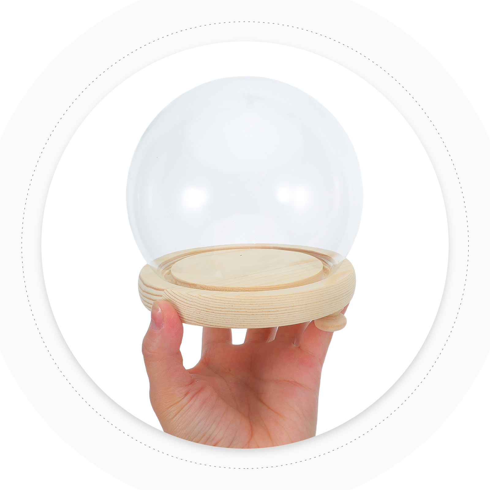 Preserved Flower Glass Dome El - Plastic Dome Clear 리뷰 및 가격