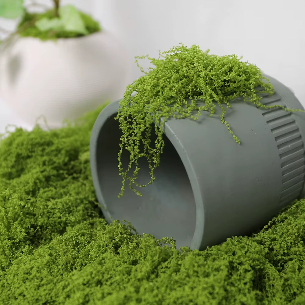 30/100g Artificial Green Plant - Sphagnum Moss Dry 리뷰 및 가격
