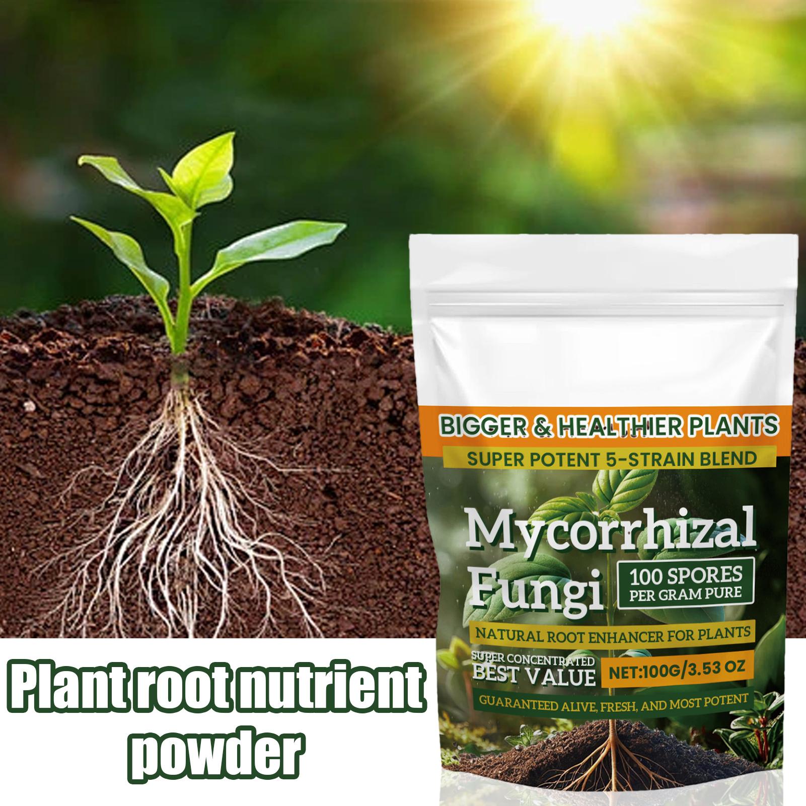 Plant Growth Enhancer Powder 1 - Rooting Hormone Powder 리뷰 및 가격