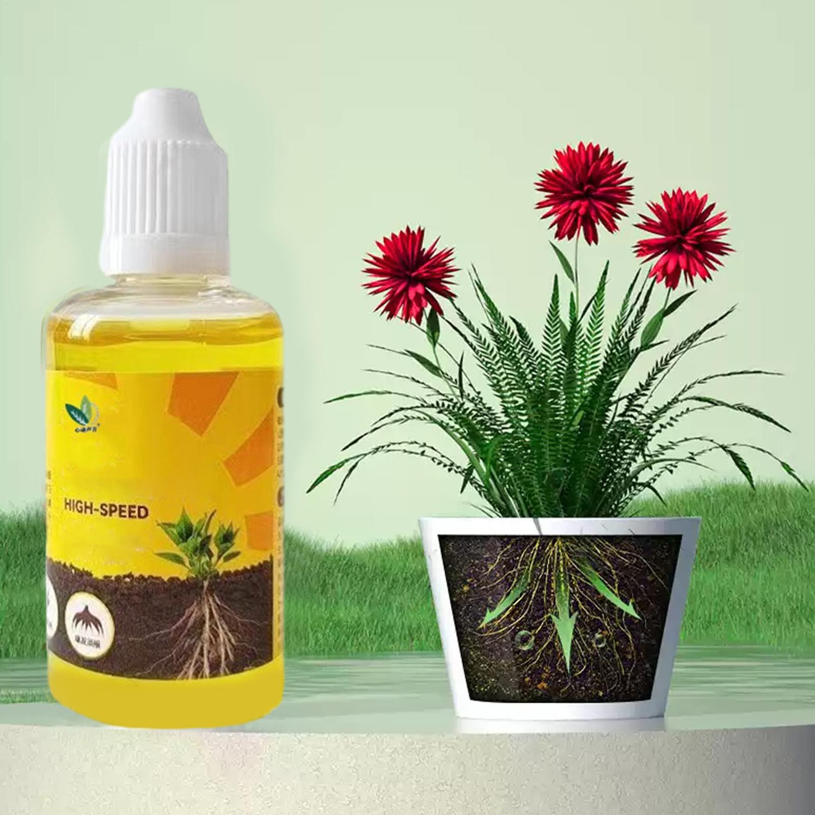 Plant Rapid Rooting Solution 5 - Root Stimulator Liquid 리뷰 및 가격