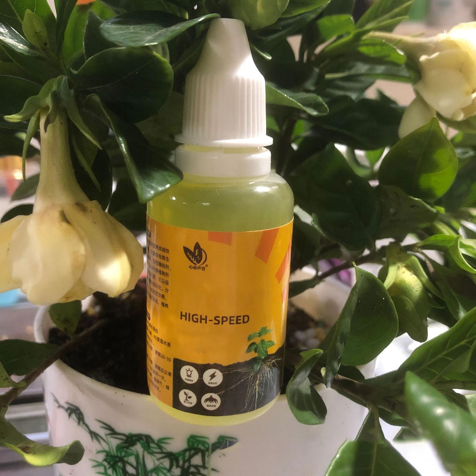 Plant Rapid Rooting Solution 5 - Root Stimulator Liquid 리뷰 및 가격