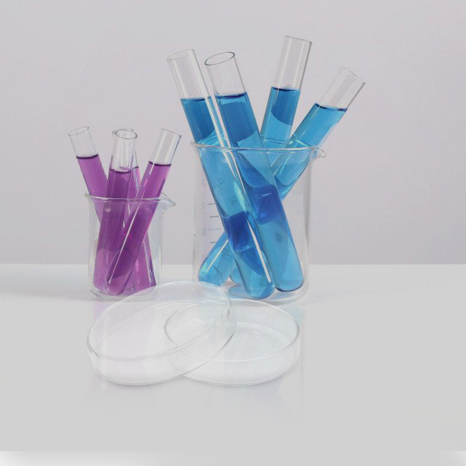 Glass Petri Dish High Borosili - Agar Tissue Culture 리뷰 및 가격