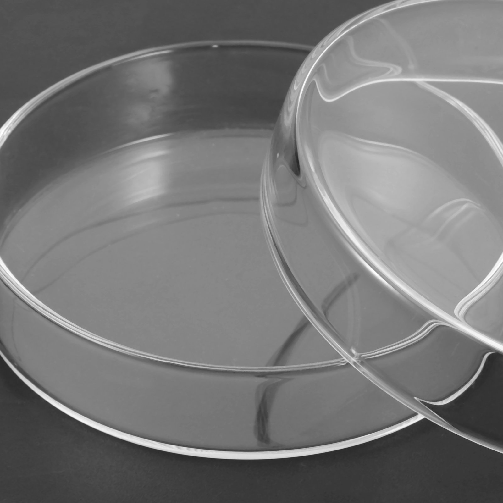 Glass Petri Dish High Borosili - Agar Tissue Culture 리뷰 및 가격
