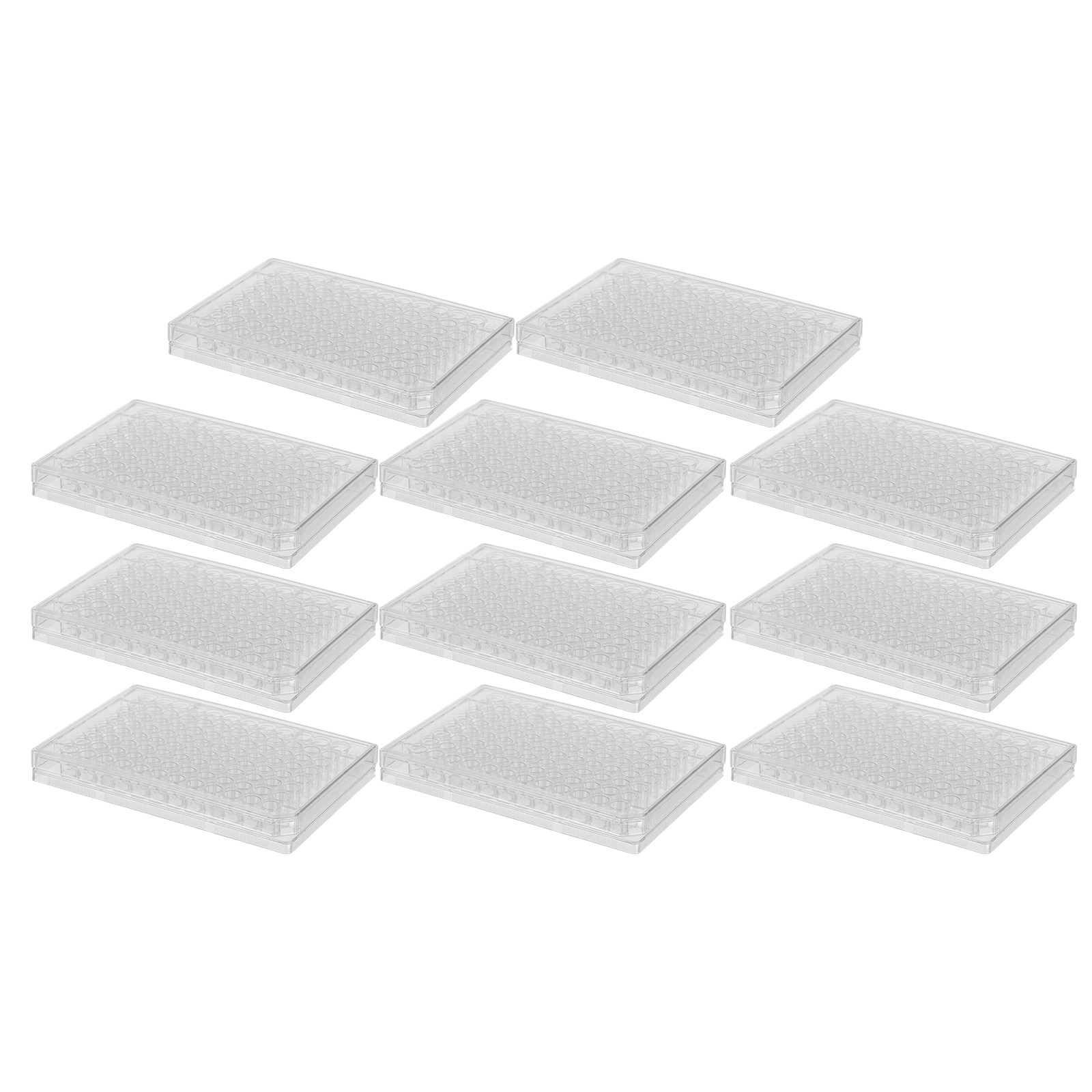 10Pcs Cell Culture Plates Tran - Agar Tissue Culture 리뷰 및 가격