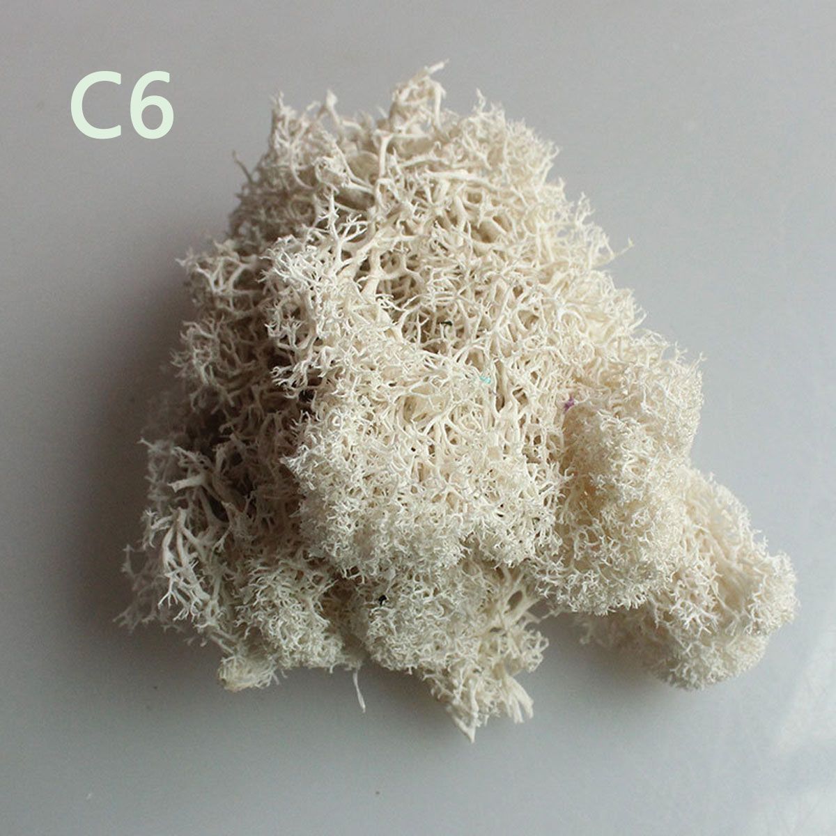 Colorful DIY Home Decor Christ - Sphagnum Moss Dry 리뷰 및 가격