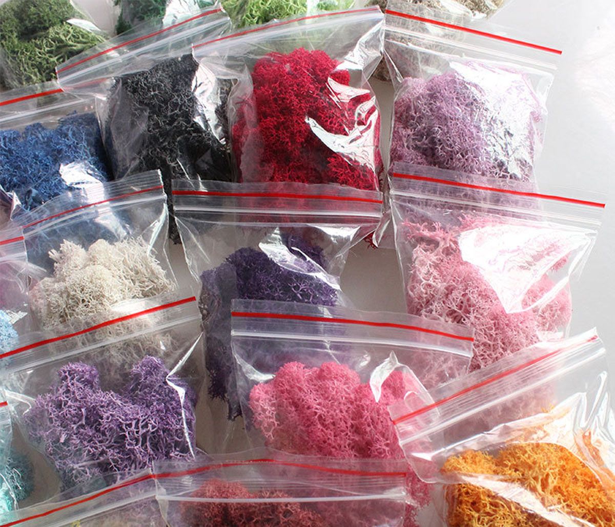 Colorful DIY Home Decor Christ - Sphagnum Moss Dry 리뷰 및 가격