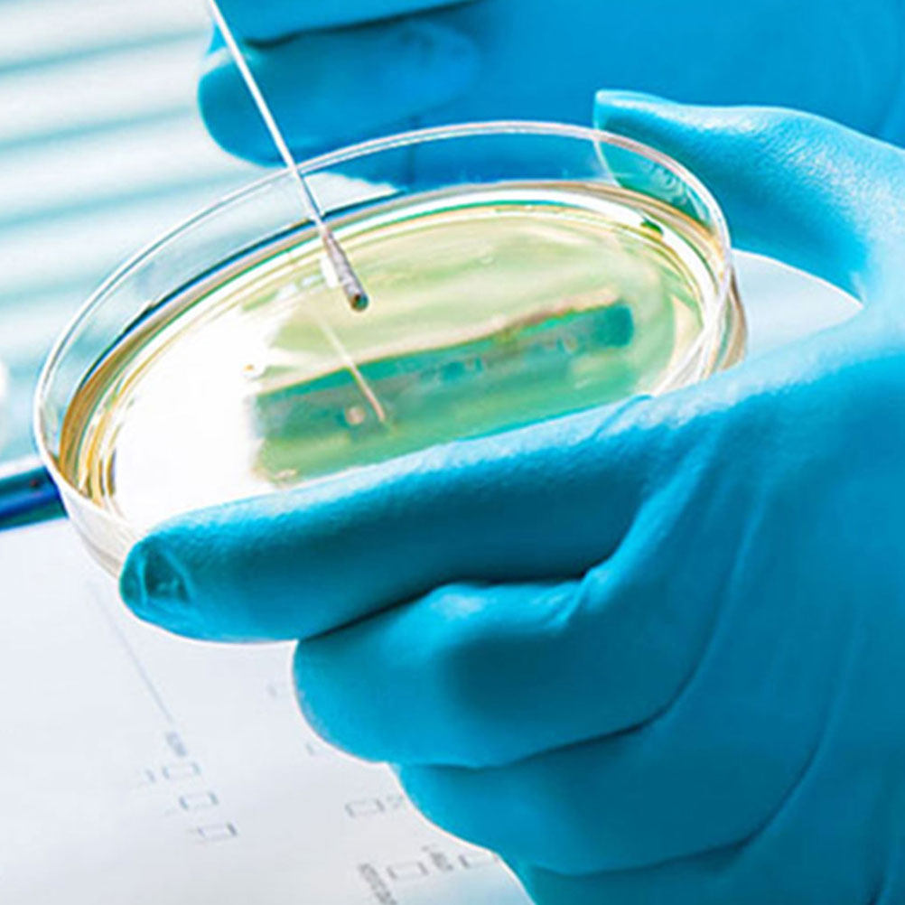 10Pcs Plastic Petri Dishes Tra - Agar Tissue Culture 리뷰 및 가격